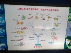 -上海昆虫博物馆