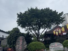 -泸州老窖景区