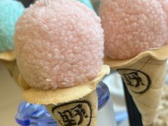 -野人先生现做冰淇淋(北京悠唐购物中心店)
