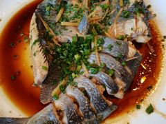 -生态苑农庄(十里画廊遇龙河店)