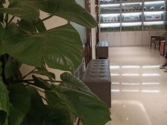 -柏乐口腔(南宁总院)