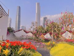 -海心沙亚运公园