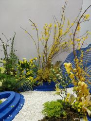 -深圳香格里拉大酒店·宴会厅