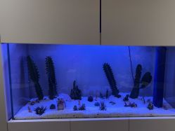 -芮娜皮肤管理·SPA中心