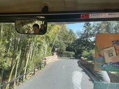 -莫干山风景区