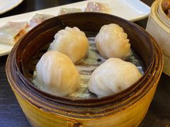 添运来虾饺皇-添运来(茶园奥园广场店)
