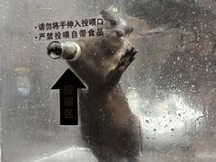 -波塞冬旅游度假区