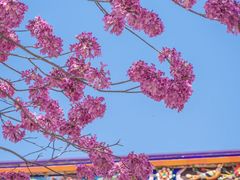 -天竺岩寺