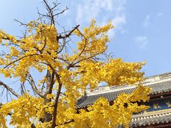 -龙华寺