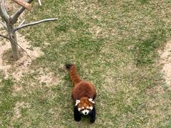 -青藏高原野生动物园
