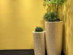 -康逸居·始于2002(海安店)
