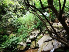 -火炉山森林公园
