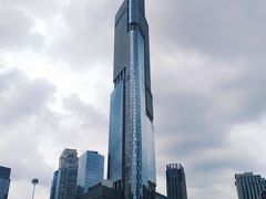 -紫峰大厦