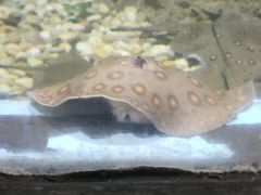 -苏州海洋馆