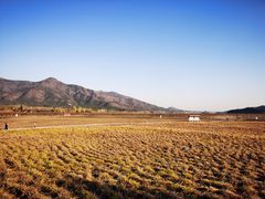 -北京十三陵国家森林公园蟒山景区