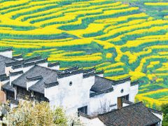 -篁岭景区
