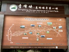 -青峰峡国家森林公园