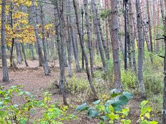 -帽儿山国家森林公园