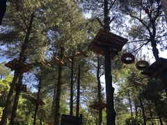 -梦幻奥陶纪景区