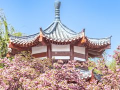 -洛阳市隋唐城遗址植物园