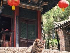 -藏山旅游风景区