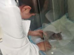 -申普宠物医院·心脏介入·心血管微创(总院)