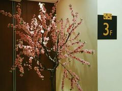 -南京夜泊秦淮君亭酒店·金陵书画院