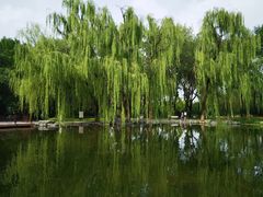 -玲珑塔公园