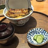 打卡新开的日式料理店