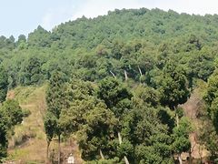 -舒家湾天主教堂