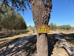 -乐行自行车运动乐园