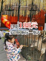 点击看大图 -蓝可可亲子乐园(北苑店)