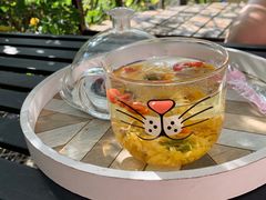 -喵屿·大理花园猫咖