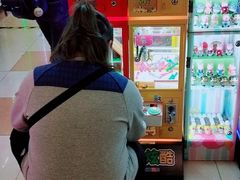 -汤姆熊欢乐世界(罗斯福店)