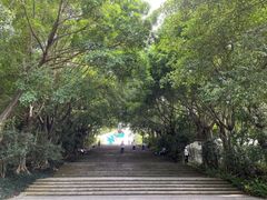 -深圳国际园林花卉博览园