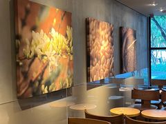 -星巴克(绍兴柯桥柯岩景区店)