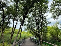 -西湖风景区-江洋畈生态公园