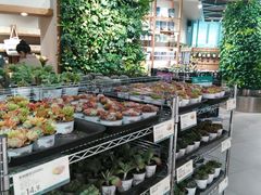 -鹿岛会员店 (龙湖三千集天街店)