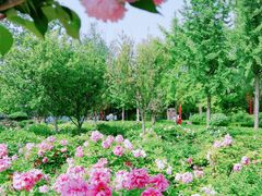 -洛阳市隋唐城遗址植物园