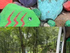 -洛阳白云山景区