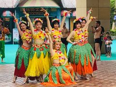 -苏州乐园森林水世界