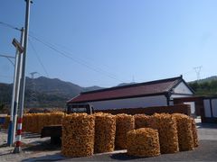 -乌龙峡谷景区