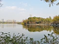 -成都南湖公园