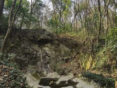 -上海佘山国家森林公园天马山园