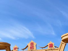 -金塔沙漠胡杨林景区