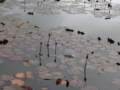 -沙美村