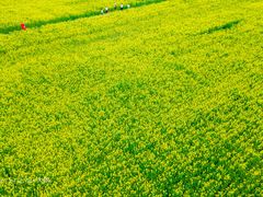 -汉长安城未央宫国家考古遗址公园