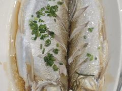 -蟹天蟹地农家菜·阳澄湖大闸蟹(浅水湾店)