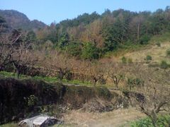 android_upload_pic-余姚阳明温泉山庄