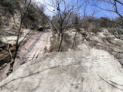 -王顺山国家森林公园